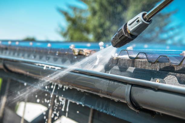 Best Roof Pressure Washing  in Lopezville, TX