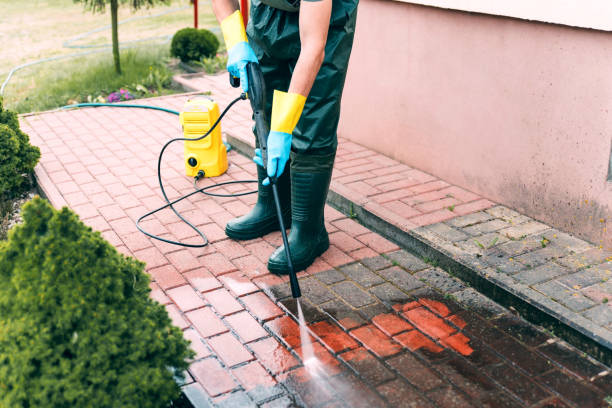 Pressure Washing Services for Businesses in Lopezville, TX