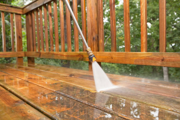 Best Commercial Building Pressure Washing  in Lopezville, TX