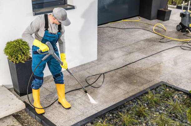 Best Affordable Power Washing  in Lopezville, TX