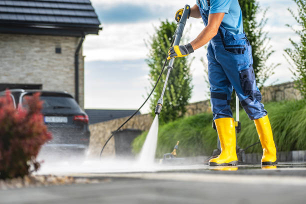 Best Roof Power Washing Services  in Lopezville, TX
