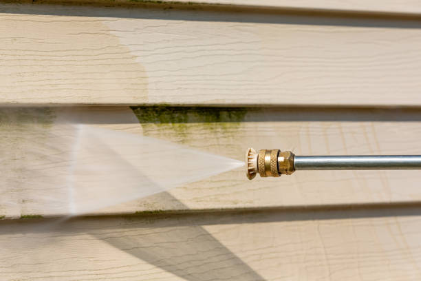 Best Sidewalk Pressure Washing  in Lopezville, TX