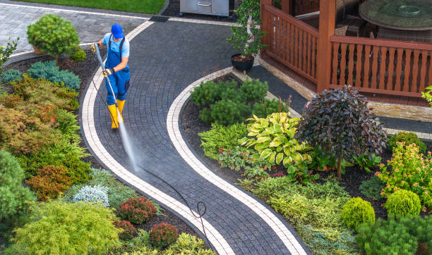 Best Best Pressure Washing Companies  in Lopezville, TX